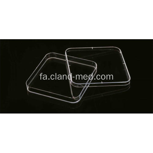 مربع پتری دیش